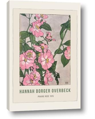 Picture of Prairie Rose - Hannah Overbeck