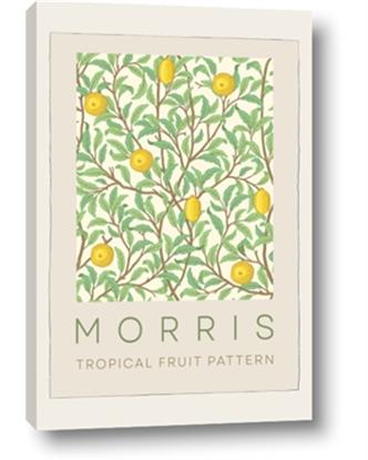 Picture of Tropical Fruit Pattern -Morris