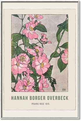 Picture of Prairie Rose - Hannah Overbeck