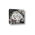 Picture of Gucci _GroupedProduct_Square_Canvas_