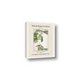 Picture of Trillium Erectum - Hannah Overbeck  _GroupedProduct_Rectangle_Portrait_Canvas_