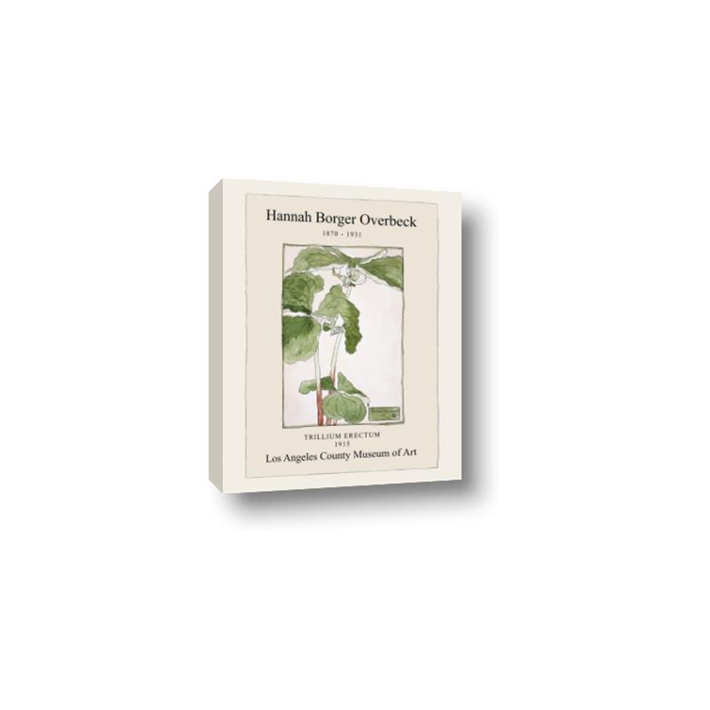 Picture of Trillium Erectum - Hannah Overbeck  _GroupedProduct_Rectangle_Portrait_Canvas_