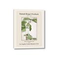 Picture of Trillium Erectum - Hannah Overbeck  _GroupedProduct_Rectangle_Portrait_Canvas_