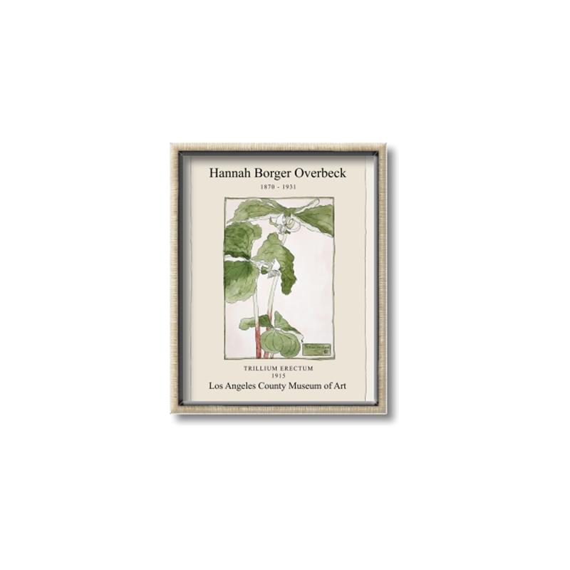 Picture of Trillium Erectum - Hannah Overbeck  _GroupedProduct_Rectangle_Portrait_Canvas_Framed_