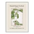 Picture of Trillium Erectum - Hannah Overbeck  _GroupedProduct_Rectangle_Portrait_Canvas_Framed_