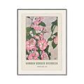 Picture of Praire Rose - Hannah Overbeck  _GroupedProduct_Rectangle_Portrait_Canvas_Framed_