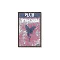 Picture of Plato Symposium _GroupedProduct_Rectangle_Portrait_Canvas_Framed_
