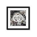 Picture of Gucci _GroupedProduct_Square_Framed_Matted_