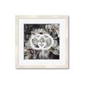 Picture of Gucci _GroupedProduct_Square_Framed_Matted_