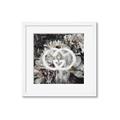 Picture of Gucci _GroupedProduct_Square_Framed_Matted_