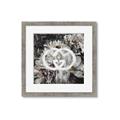 Picture of Gucci _GroupedProduct_Square_Framed_Matted_
