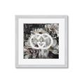 Picture of Gucci _GroupedProduct_Square_Framed_Matted_