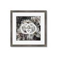 Picture of Gucci _GroupedProduct_Square_Framed_Matted_