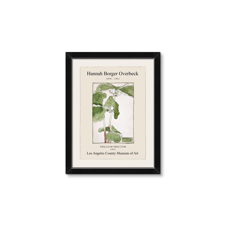 Picture of Trillium Erectum - Hannah Overbeck  _GroupedProduct_Rectangle_Portrait_Framed_Matted_