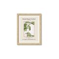 Picture of Trillium Erectum - Hannah Overbeck  _GroupedProduct_Rectangle_Portrait_Framed_Matted_