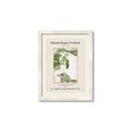 Picture of Trillium Erectum - Hannah Overbeck  _GroupedProduct_Rectangle_Portrait_Framed_Matted_