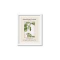 Picture of Trillium Erectum - Hannah Overbeck  _GroupedProduct_Rectangle_Portrait_Framed_Matted_