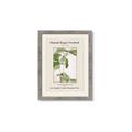 Picture of Trillium Erectum - Hannah Overbeck  _GroupedProduct_Rectangle_Portrait_Framed_Matted_
