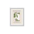 Picture of Trillium Erectum - Hannah Overbeck  _GroupedProduct_Rectangle_Portrait_Framed_Matted_