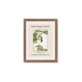 Picture of Trillium Erectum - Hannah Overbeck  _GroupedProduct_Rectangle_Portrait_Framed_Matted_