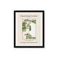 Picture of Trillium Erectum - Hannah Overbeck  _GroupedProduct_Rectangle_Portrait_Framed_Matted_