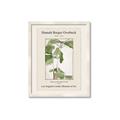 Picture of Trillium Erectum - Hannah Overbeck  _GroupedProduct_Rectangle_Portrait_Framed_Matted_