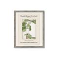 Picture of Trillium Erectum - Hannah Overbeck  _GroupedProduct_Rectangle_Portrait_Framed_Matted_