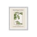 Picture of Trillium Erectum - Hannah Overbeck  _GroupedProduct_Rectangle_Portrait_Framed_Matted_