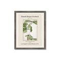 Picture of Trillium Erectum - Hannah Overbeck  _GroupedProduct_Rectangle_Portrait_Framed_Matted_