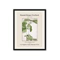 Picture of Trillium Erectum - Hannah Overbeck  _GroupedProduct_Rectangle_Portrait_Framed_Matted_