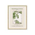 Picture of Trillium Erectum - Hannah Overbeck  _GroupedProduct_Rectangle_Portrait_Framed_Matted_