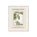 Picture of Trillium Erectum - Hannah Overbeck  _GroupedProduct_Rectangle_Portrait_Framed_Matted_