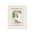 Picture of Trillium Erectum - Hannah Overbeck  _GroupedProduct_Rectangle_Portrait_Framed_Matted_