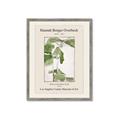 Picture of Trillium Erectum - Hannah Overbeck  _GroupedProduct_Rectangle_Portrait_Framed_Matted_