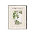 Picture of Trillium Erectum - Hannah Overbeck  _GroupedProduct_Rectangle_Portrait_Framed_Matted_