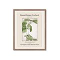 Picture of Trillium Erectum - Hannah Overbeck  _GroupedProduct_Rectangle_Portrait_Framed_Matted_