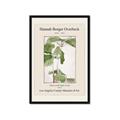 Picture of Trillium Erectum - Hannah Overbeck  _GroupedProduct_Rectangle_Portrait_Framed_Matted_