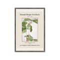 Picture of Trillium Erectum - Hannah Overbeck  _GroupedProduct_Rectangle_Portrait_Framed_Matted_