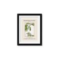 Picture of Trillium Erectum - Hannah Overbeck  _GroupedProduct_Rectangle_Portrait_Framed_Matted_