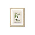 Picture of Trillium Erectum - Hannah Overbeck  _GroupedProduct_Rectangle_Portrait_Framed_Matted_