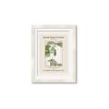 Picture of Trillium Erectum - Hannah Overbeck  _GroupedProduct_Rectangle_Portrait_Framed_Matted_