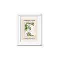 Picture of Trillium Erectum - Hannah Overbeck  _GroupedProduct_Rectangle_Portrait_Framed_Matted_