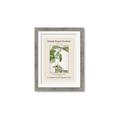 Picture of Trillium Erectum - Hannah Overbeck  _GroupedProduct_Rectangle_Portrait_Framed_Matted_