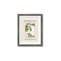 Picture of Trillium Erectum - Hannah Overbeck  _GroupedProduct_Rectangle_Portrait_Framed_Matted_