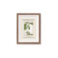Picture of Trillium Erectum - Hannah Overbeck  _GroupedProduct_Rectangle_Portrait_Framed_Matted_