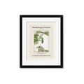 Picture of Trillium Erectum - Hannah Overbeck  _GroupedProduct_Rectangle_Portrait_Framed_Matted_
