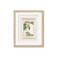 Picture of Trillium Erectum - Hannah Overbeck  _GroupedProduct_Rectangle_Portrait_Framed_Matted_