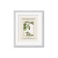 Picture of Trillium Erectum - Hannah Overbeck  _GroupedProduct_Rectangle_Portrait_Framed_Matted_