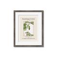 Picture of Trillium Erectum - Hannah Overbeck  _GroupedProduct_Rectangle_Portrait_Framed_Matted_