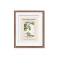 Picture of Trillium Erectum - Hannah Overbeck  _GroupedProduct_Rectangle_Portrait_Framed_Matted_